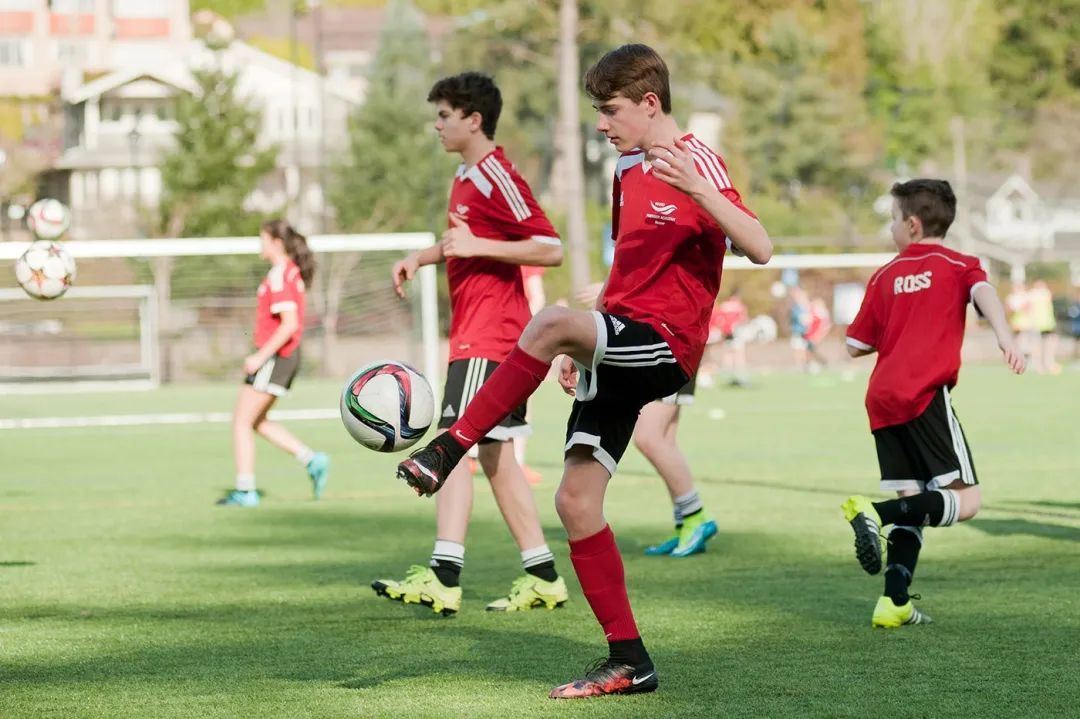 乐鱼体育（中国）官方网站－LEYU SPORTS