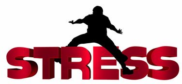 Leyu Sport下载-国足球队心理调适与压力释放技术，足球运动员心理素质培养